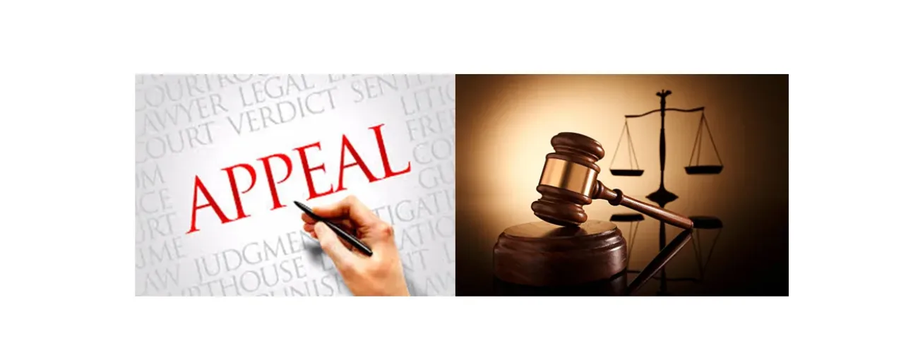 TWO JUSTICES ARE APPOINTED TO THE APPEALS DIVISION OF THE FAMILY COURT OF AUSTRALIA